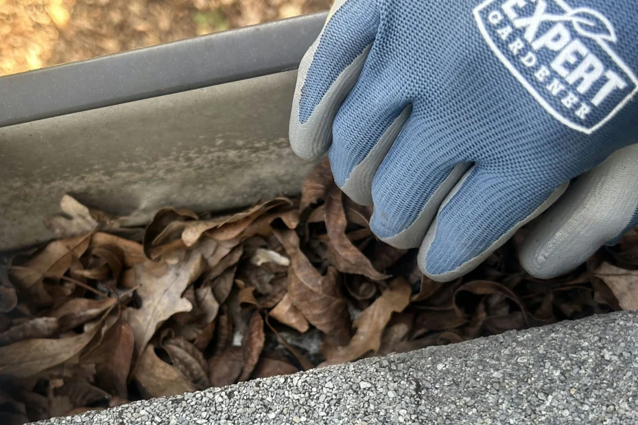 Gutter Cleaning Piedmont